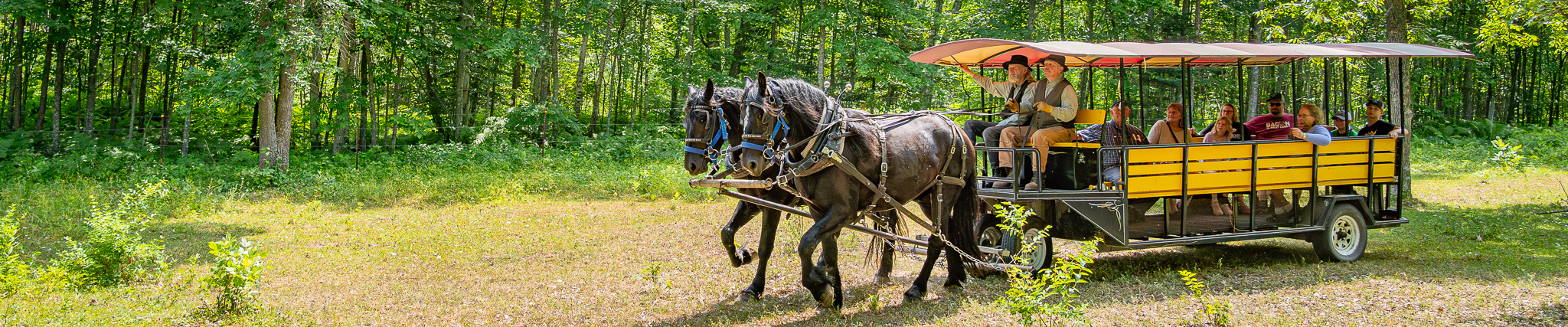 Forest History Center.