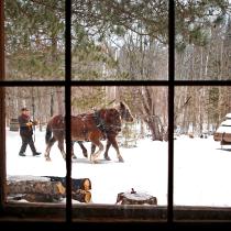 Forest History Center.